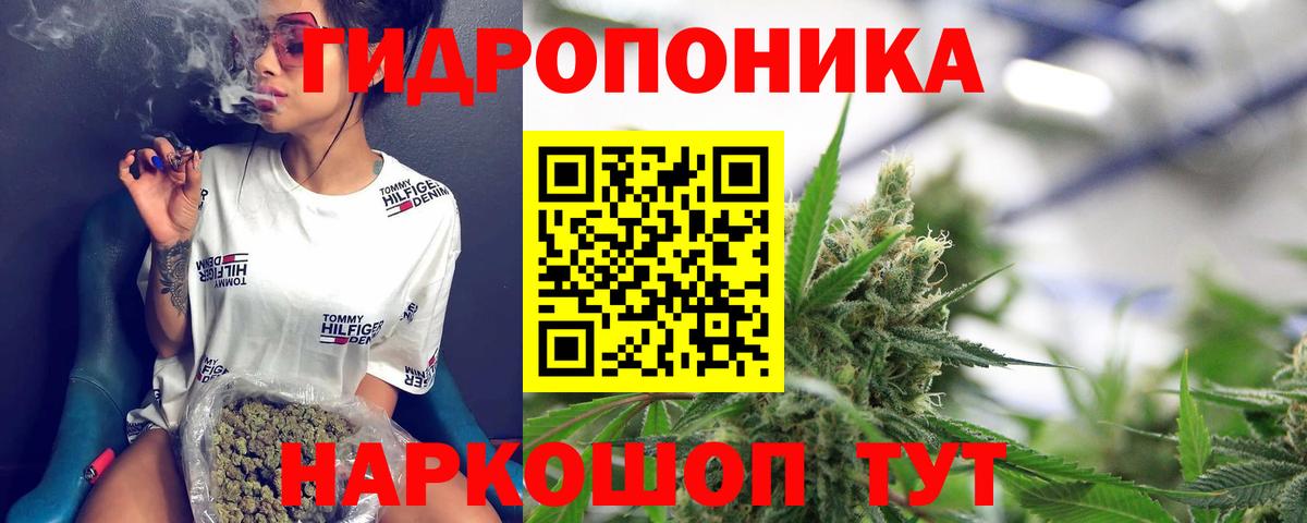 Конопля индика Тобольск